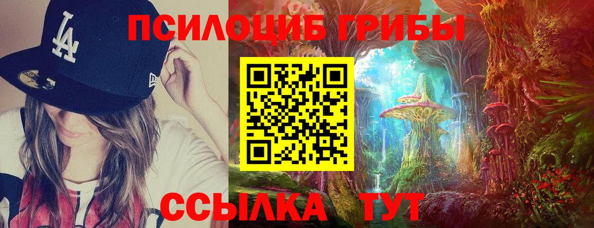 Галлюциногенные грибы Magic Shrooms Заводоуковск