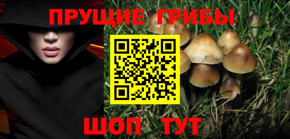 Псилоцибиновые грибы прущие грибы  Вход с VPN  Заводоуковск  Галлюциногенные грибы мухоморы 